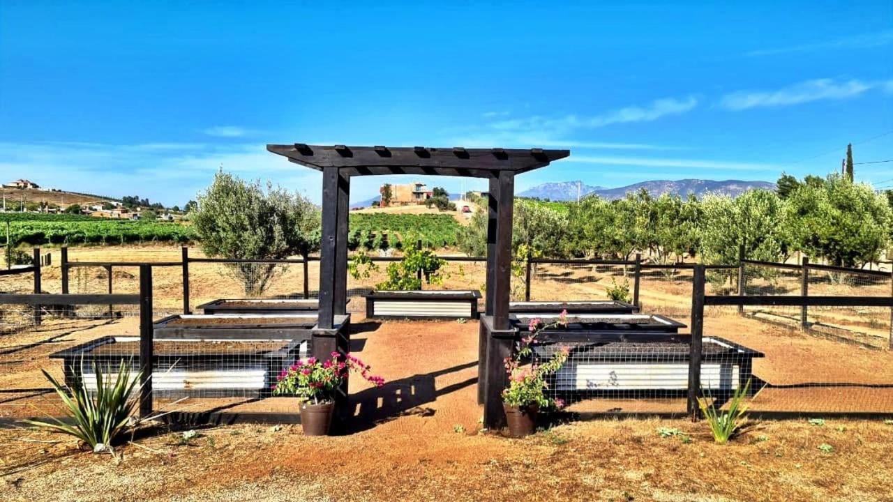 Finca Vidandrei Casa Eucalipto 瓜达鲁佩镇 外观 照片