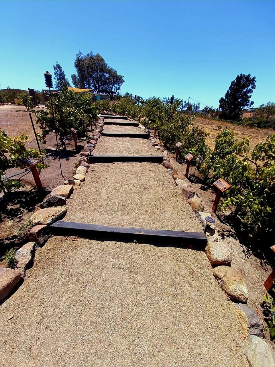 Finca Vidandrei Casa Eucalipto 瓜达鲁佩镇 外观 照片
