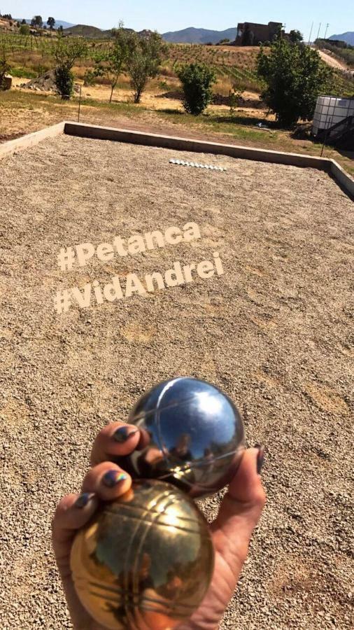 Finca Vidandrei Casa Eucalipto 瓜达鲁佩镇 外观 照片