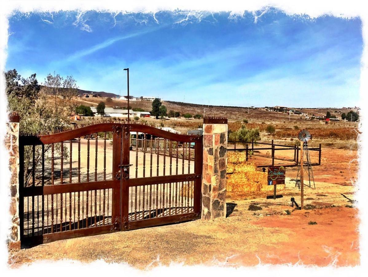 Finca Vidandrei Casa Eucalipto 瓜达鲁佩镇 外观 照片